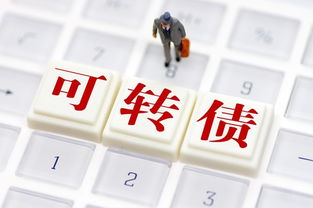 yy完成總額達(dá)10億美元可轉(zhuǎn)債發(fā)行 為全球化儲(chǔ)備資金