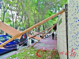 小區墻歪歪 行人心慌慌