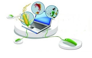 互聯網 現代農業,智能化養豬網上賣農產品