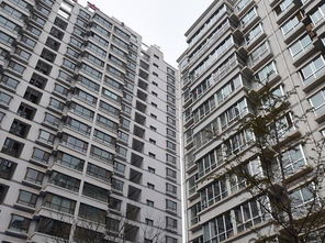 警犬 年訓 備春運