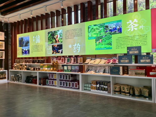 念好 生態經 打造新業態 廣西金秀瑤寨鄉村振興見聞